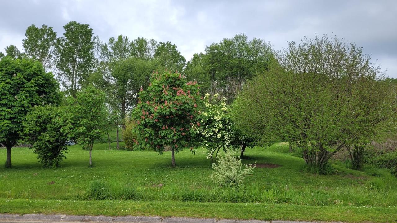 Mobil Home Nature Eclaron-Braucourt-Sainte-Liviere Dış mekan fotoğraf